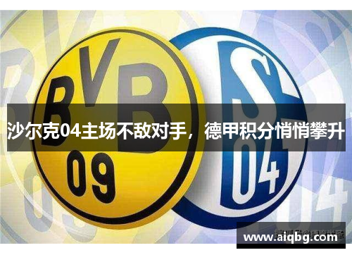 沙尔克04主场不敌对手，德甲积分悄悄攀升